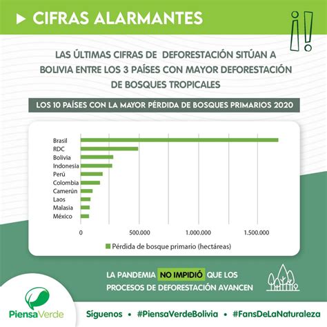 Bolivia Entre Los Pa Ses Con Mayor Deforestaci N De Bosques