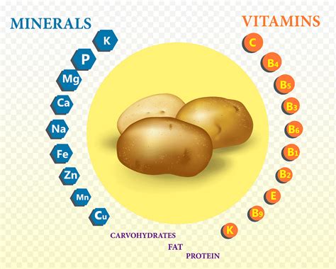 Beneficio Nutricional De La Papa Png Pngwing