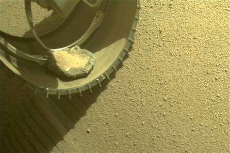 The Mars Perseverance Rover Has Picked Up A Hitchhiker — And Nasa Says