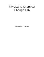 Physical Chemical Change Lab Physical Chemical Change Lab By