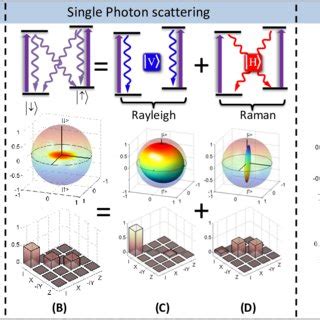 Illustration Of Spin Evolution Due To Photon Spontaneous Emission The