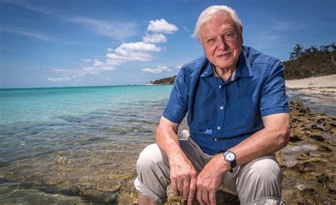 Sir David Attenborough And Now For Something Completely Different