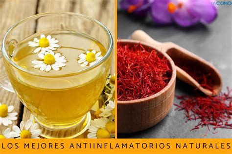 Cuáles son los mejores antiinflamatorios naturales Descubre estos