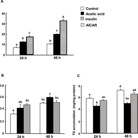 Effects Of Acetic Acid Treatment On Glucose Fatty Acid Uptake And Download Scientific Diagram