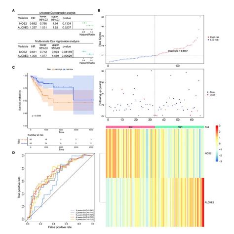 Prognostic Analysis Of The 2 Gene Signature Model In The