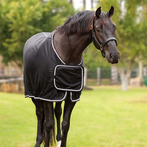 Black Silver Trophy Rug Jojubi Saddlery