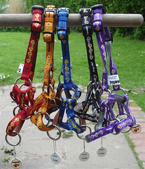 The Best Dog Head Collar Ever Dogmatic Head Collars And Leads Gsdr