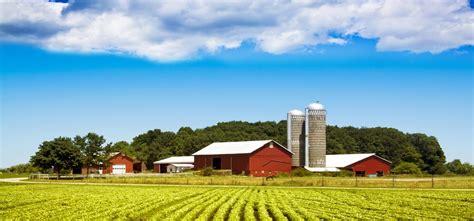 The Biggest Agricultural Export Of Every U.S. State - TFE Times