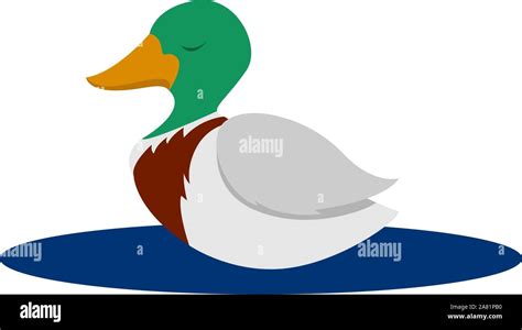 Wild duck, illustration, vector on white background Stock Vector Image ...