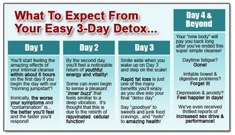 3 Day Detox Diet Weight Loss