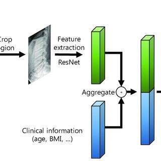 The Architecture Of The Deep Learning Based Survival Prediction Model