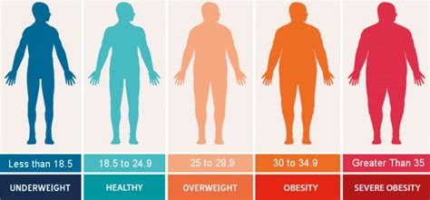 Obesity And Overweight Understanding The Difference