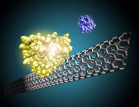 Carbon Nanotubes Increase the Speed of Biological Sensors