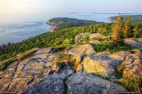 Gorham Mountain Photos Acadia National Park