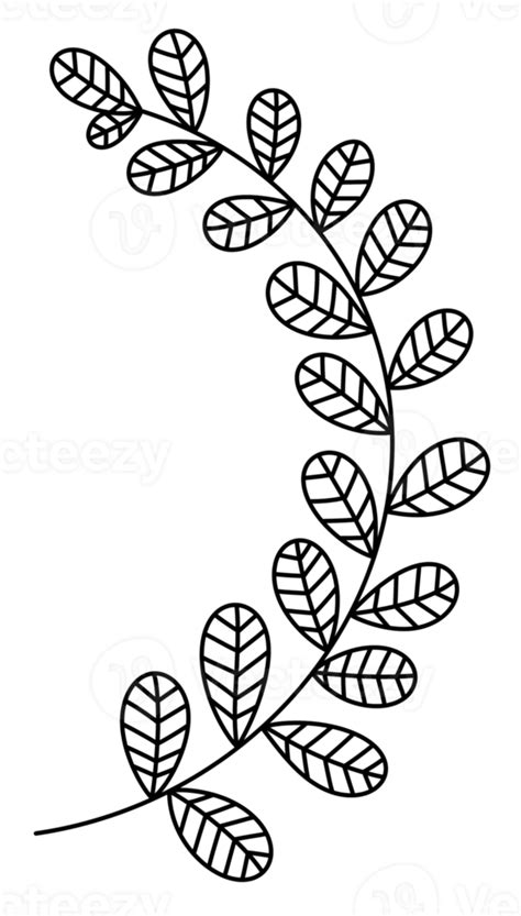 Free Modern Line Art Tropical Leaves 18818982 PNG With Transparent