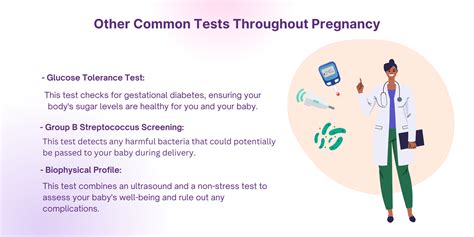 What Are Common Routine Tests During Pregnancy