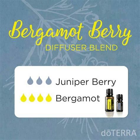 Calming Blend Doterra Calming Diffuser Blend Essential Oil Diffuser