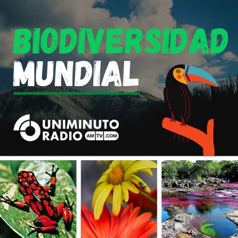 Infografía Biodiversidad mundial