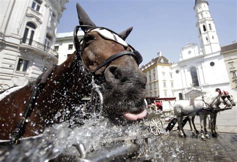 Continúa La Ola De Calor Que Afecta A Toda Europa Infobae