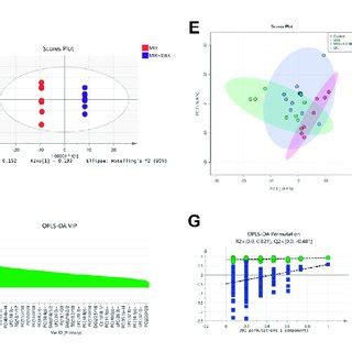 Serum Lipid Metabolic Profiles Serum Lipid Metabolic Profiles Were