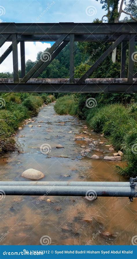 River Stock Photo Image Of Watercourse Natural River 126542312