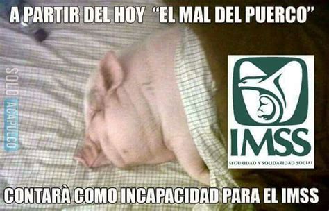 Mal del Puerco Jajaja Meme Memes divertidos Imágenes graciosas