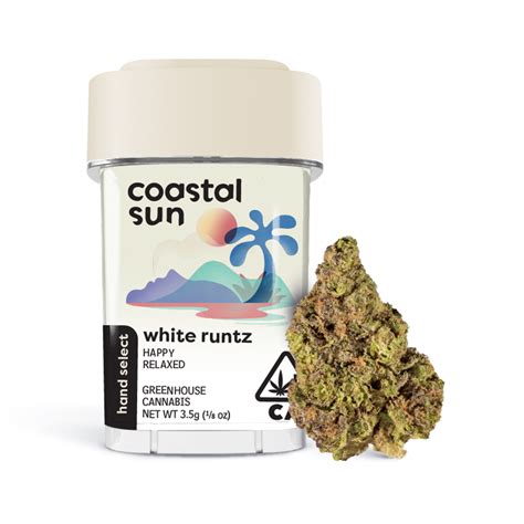 White Runtz Coastal Sun Greenhouse Jane