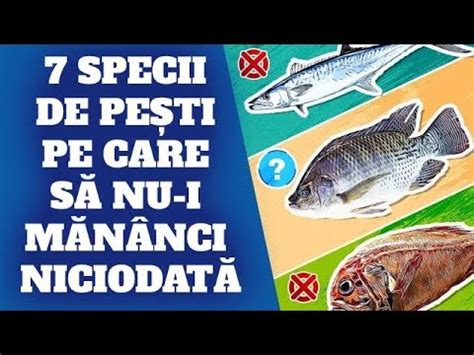 7 SPECII DE PEȘTE PE CARE NU TREBUIE SĂ LE MĂNÂNCI NICIODATĂ YouTube