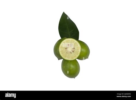 Fresh Green Lemon Slice Pieces With Leaf Isolated On White Background