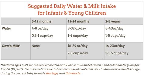 When to give your baby water? — The PediPals