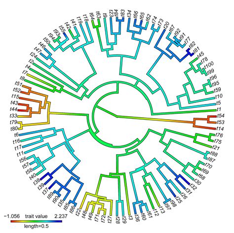 Phylogenetic Tools For Comparative Biology Circular Trees In