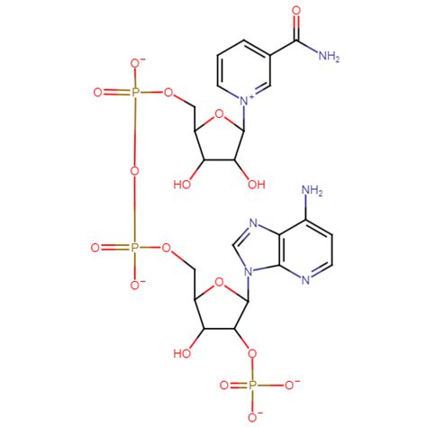 Draw the structure of NADPH. | Quizlet