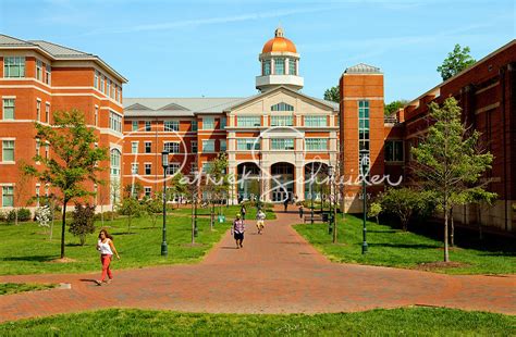 College University Unc Charlotte University College