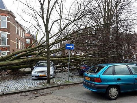 De Storm Heeft Aardig Wat Schade Aangericht Op Scheveningen Een