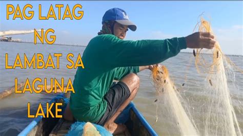 Pag Latag Ng Lambat Sa Laot Ng Laguna Lake Para Makahuli Ng Maraming