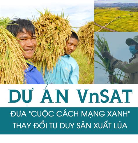 Dự án VnSAT đưa cuộc cách mạng xanh thay đổi tư duy sản xuất lúa