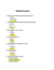 Study Guide Skeletal System Functions And Anatomy Course Hero