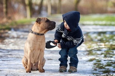 “Respeto hacia los animales”– Las nuevas asignaturas que transformarán el corazón de los niños ...