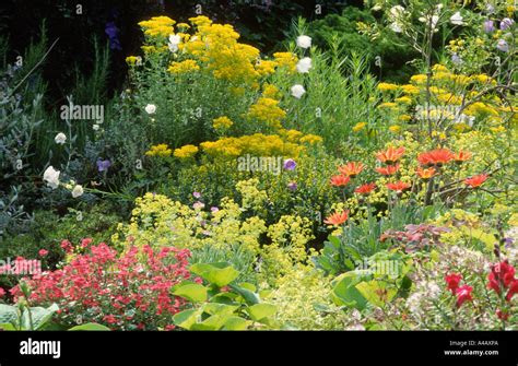 Dense Planting Hi Res Stock Photography And Images Alamy