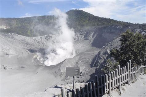 Foto Foto Kondisi Terbaru Gunung Tangkuban Parahu Debu Vulkanik Tebal