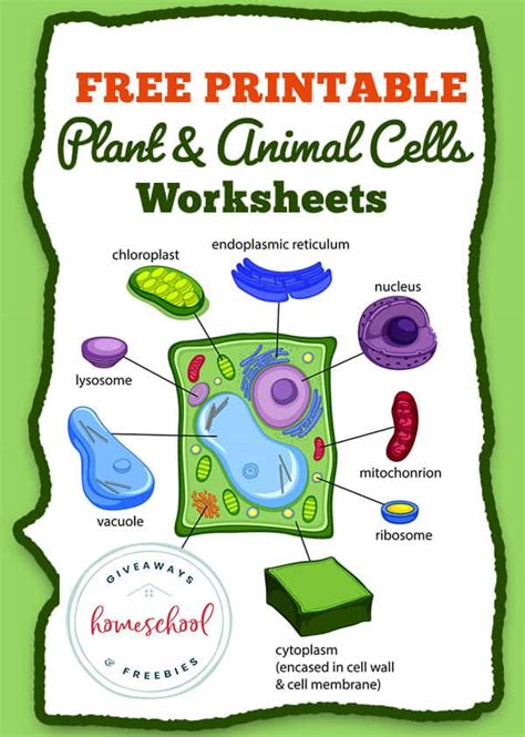 Plant Cells Organelle Activity Google Slides™ For Distance ...