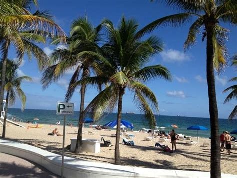 Los Mejores Hoteles Cerca De Las Olas Beach Fort Lauderdale