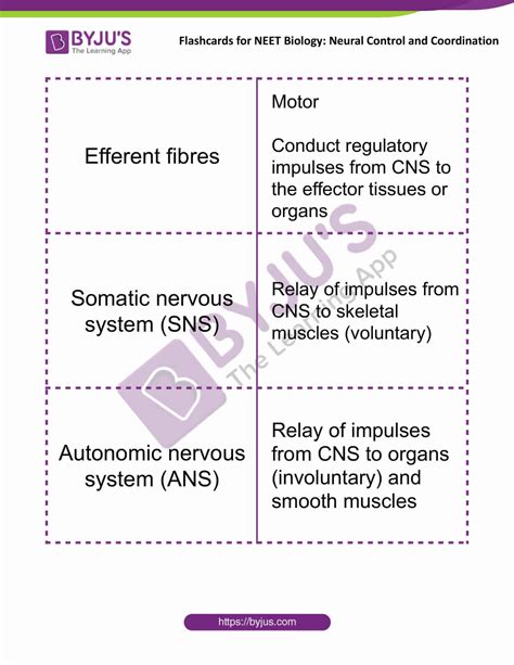 Neural Control And Coordination Flashcards For Neet Biology