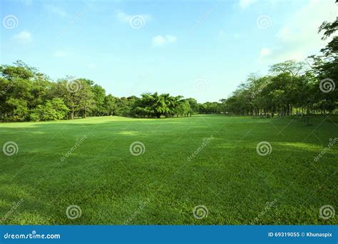 Beautiful Green Grass Field And Fresh Plant In Vibrant Meadow Ag Stock Image Image Of Park