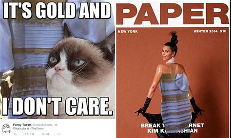 Grumpy Cat Meme Taylor Swift