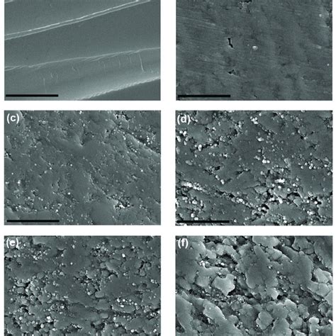 Representative FE SEM Images For Macro Polished Alumina And Alumina 5