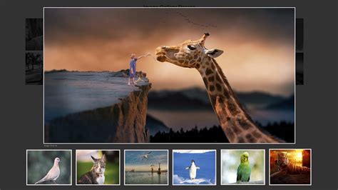 How To Make Image Gallery Using Html Css Javascript Create Image Images