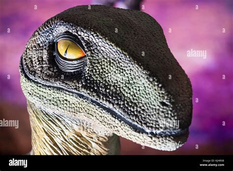 Modelo De Dinosaurio De Aspecto Realista Fotos E Imágenes De Stock Alamy