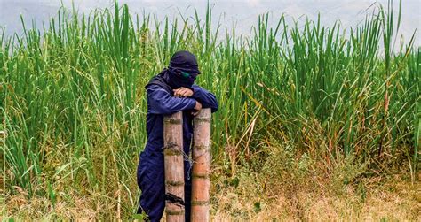 Invasiones De Tierras La Grave Amenaza A La Propiedad Privada Que Se