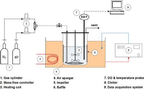 Schematic Diagram Of The Stirred Tank Bioreactor Color Figure Can Be